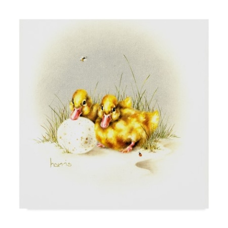 Peggy Harris 'Ducks And Egg' Canvas Art,14x14